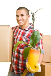 Office Removals NW3 – How to Save Money and Time
