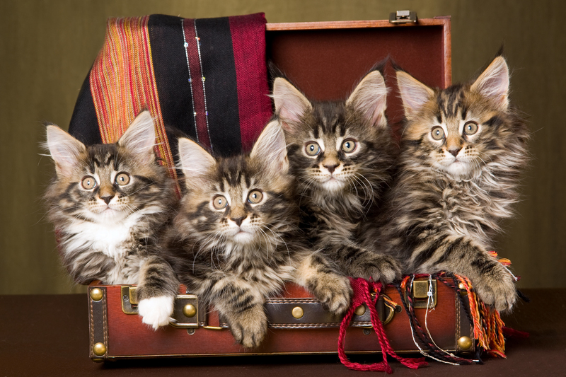 packing supplies boxes